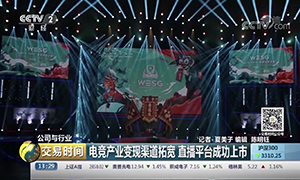 WESG广东赛区总决赛